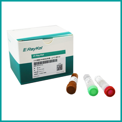 CHO殘留DNA檢測試劑盒（qPCR-探針法）